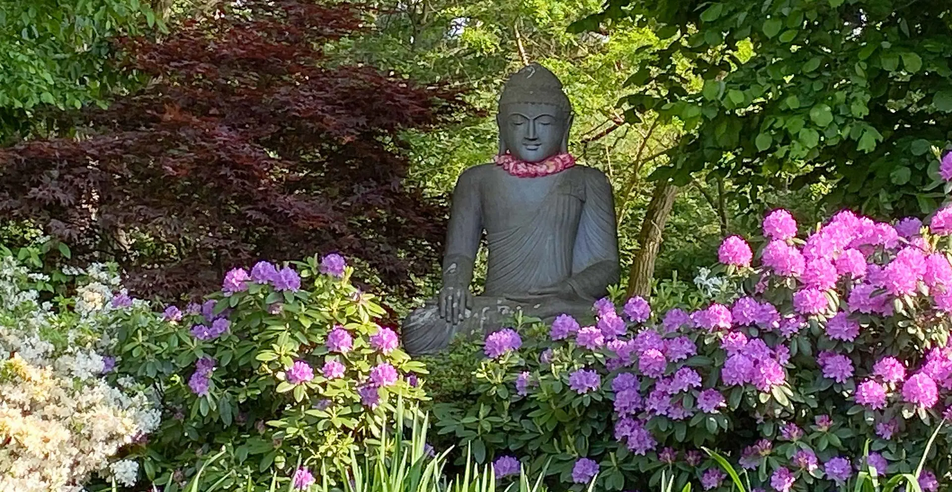 Fotogalerie Saunaparadies Wettenberg - Buddha im Grünen